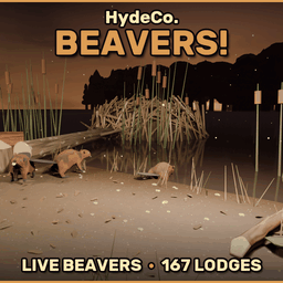 HydeCo. Beavers!